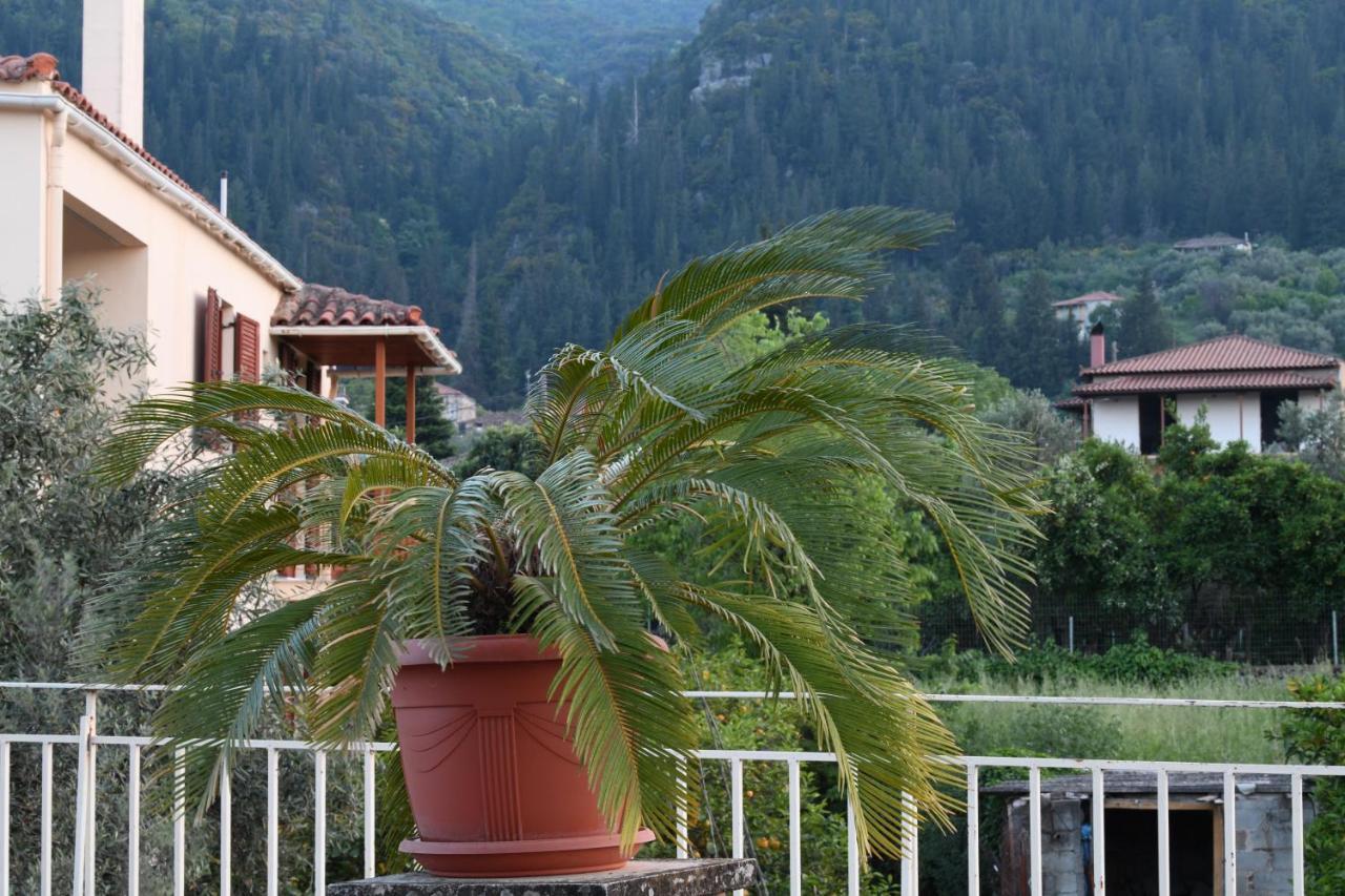 Art Flowers And Culture Mystras Exterior photo